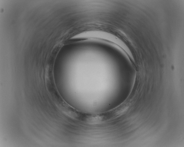 X0000075850217200610061920