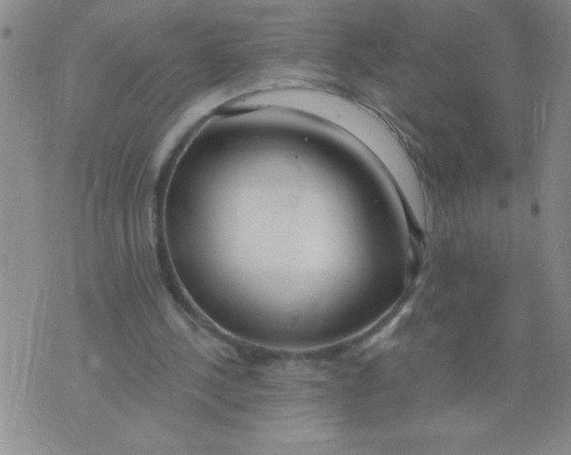 X0000075850244200610061919