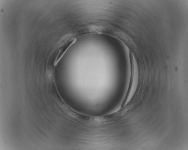 X0000075850329200610061918
