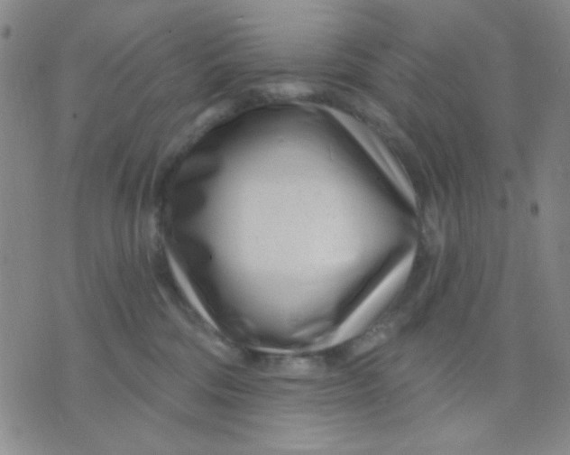 X0000075850330200610061918