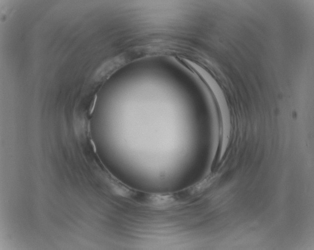X0000075850333200610061918