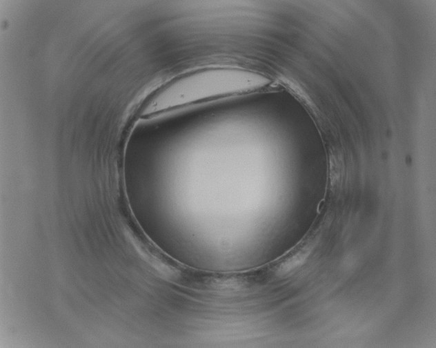 X0000075850349200610061918