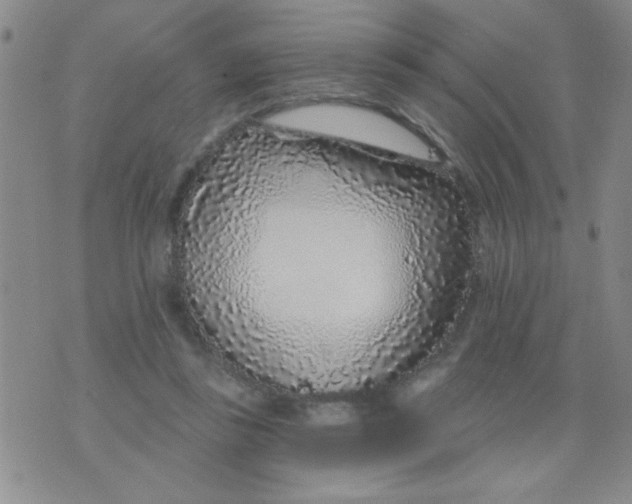 X0000075850355200610061918