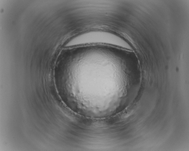 X0000075850357200610061918