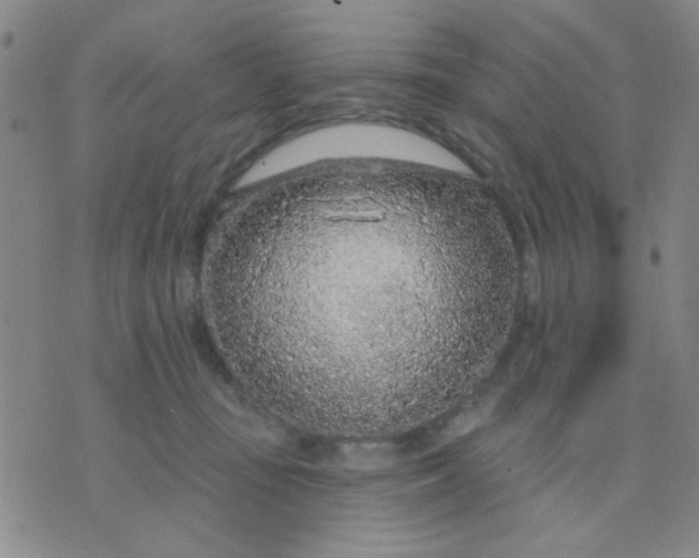 X0000075850371200610061918