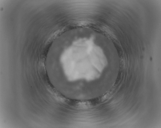 X0000075850415200610061917