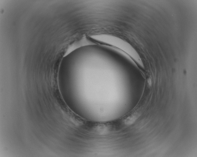 X0000075850416200610061917