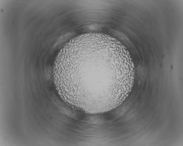 X0000075850423200610061917