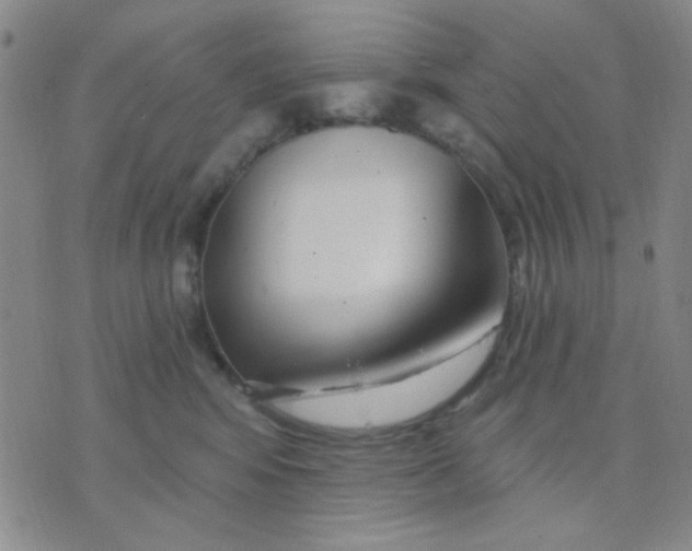 X0000075850424200610061917