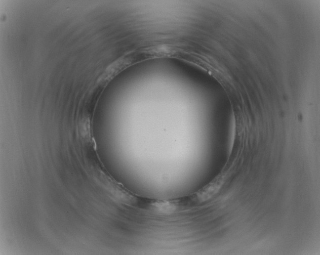 X0000075850425200610061917