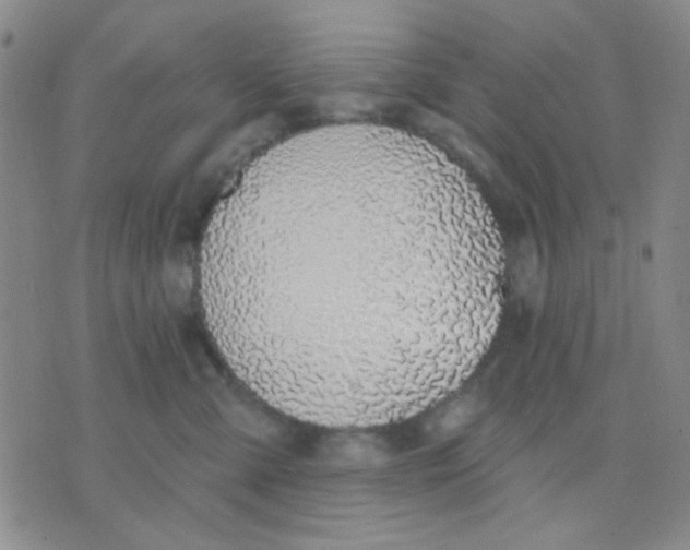 X0000075850427200610061917