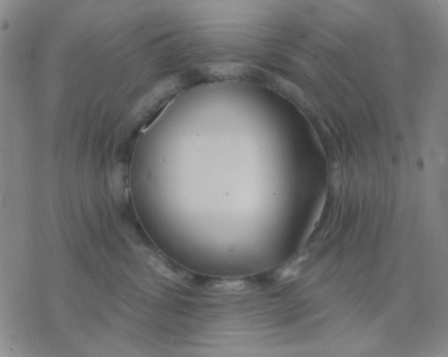 X0000075850428200610061917