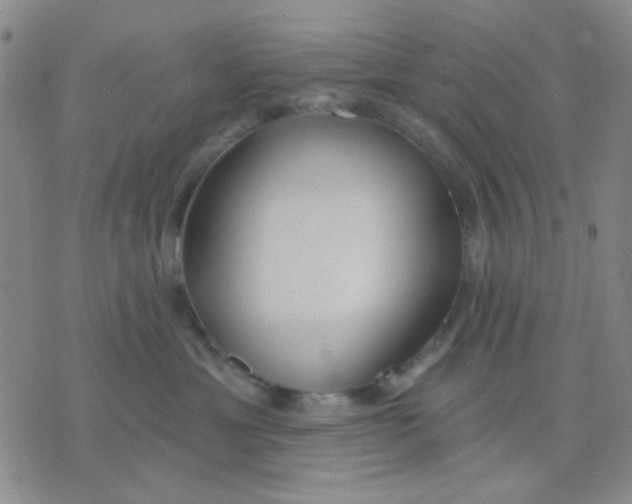 X0000075850429200610061917