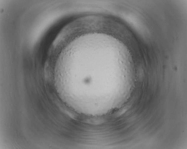 X0000075850431200610061917