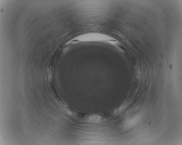 X0000075850471200610061916