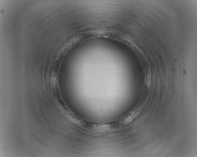 X0000075850476200610061916