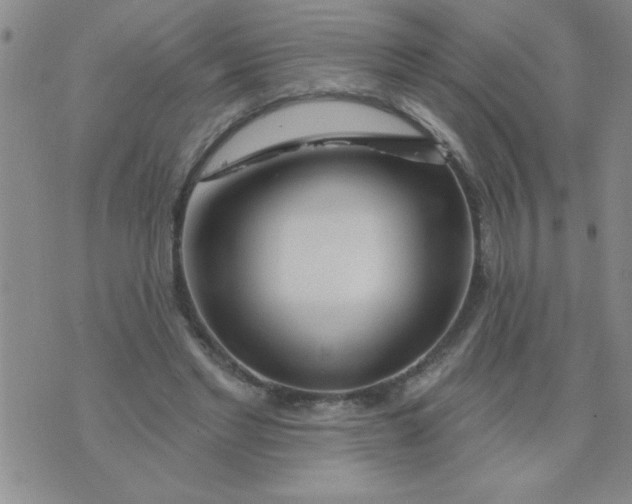X0000075850493200610061916