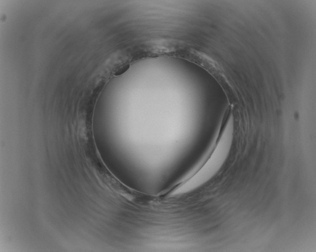 X0000075850512200610061915