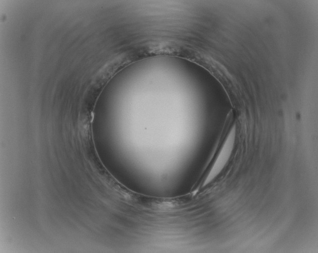 X0000075850513200610061915