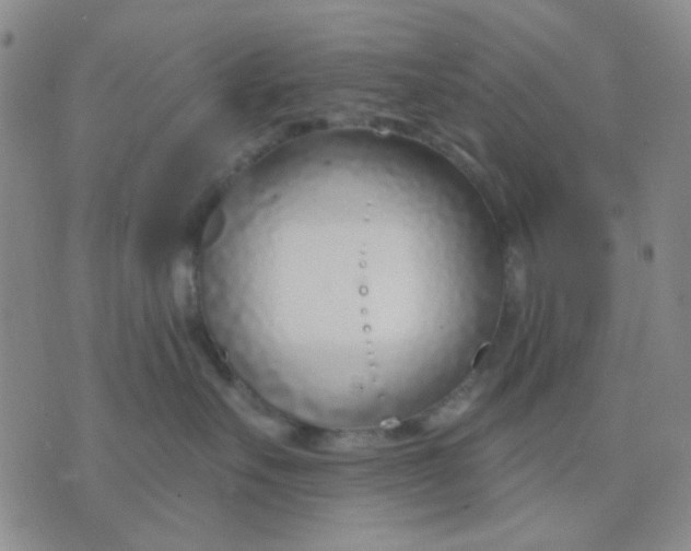 X0000075850527200610061915