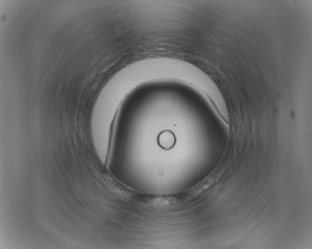X0000075850566200610061915