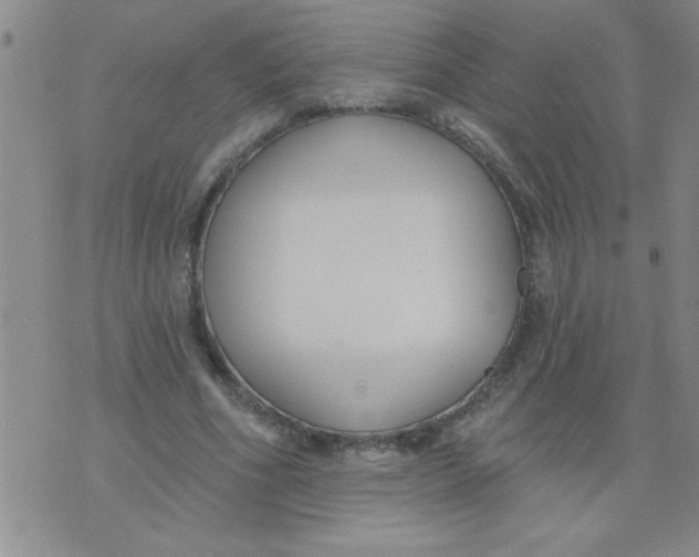 X0000075850586200610061914