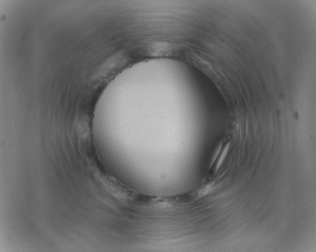 X0000075850620200610061913