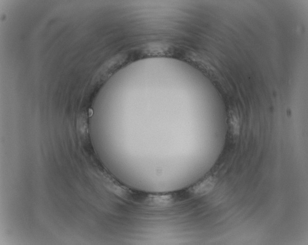 X0000075850665200610061913