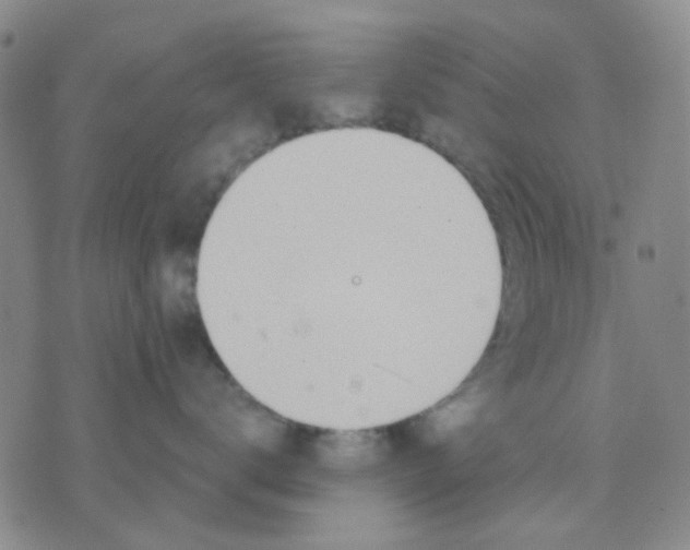 X0000075850672200610061913