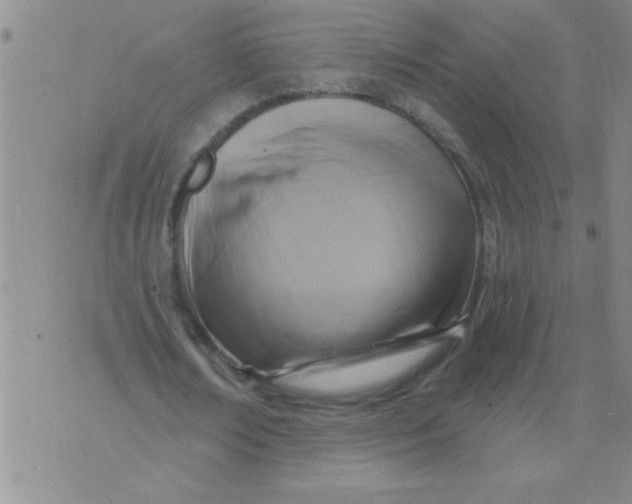 X0000075850674200610061913