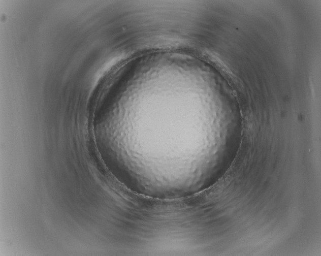 X0000075850679200610061913