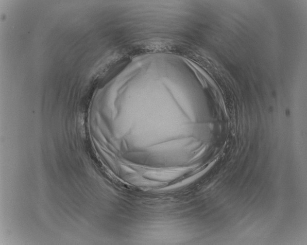 X0000075850696200610061912
