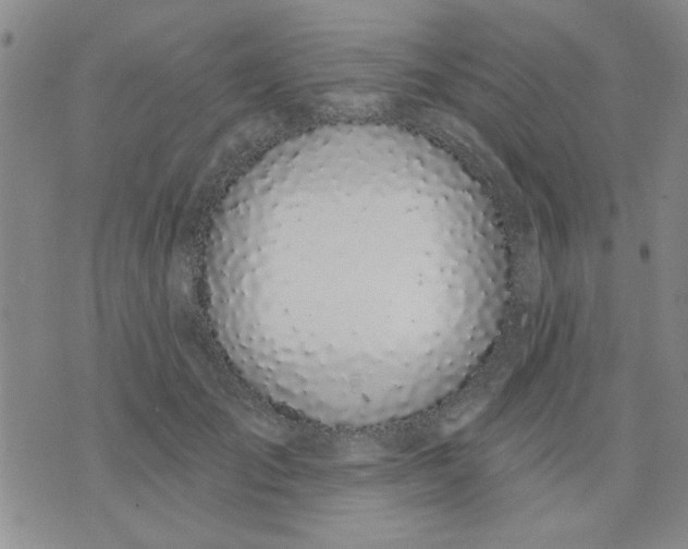 X0000075850701200610061912
