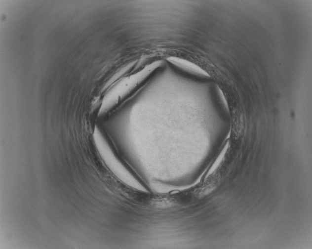X0000075850704200610061912