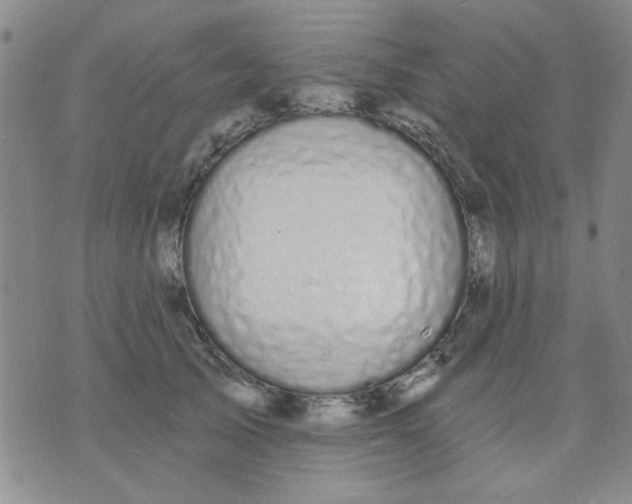 X0000075850705200610061912