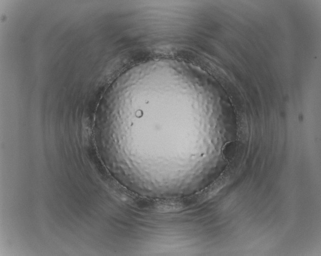 X0000075850707200610061912