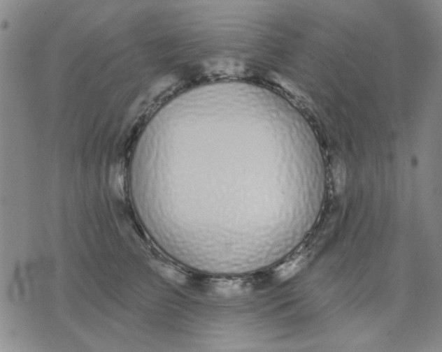 X0000075850709200610061912