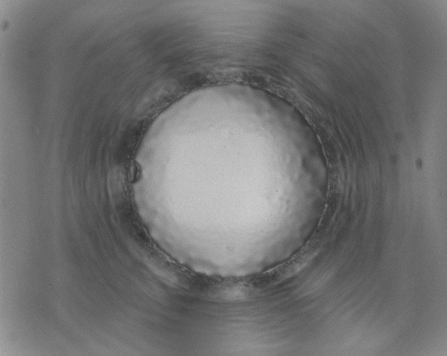 X0000075850711200610061912