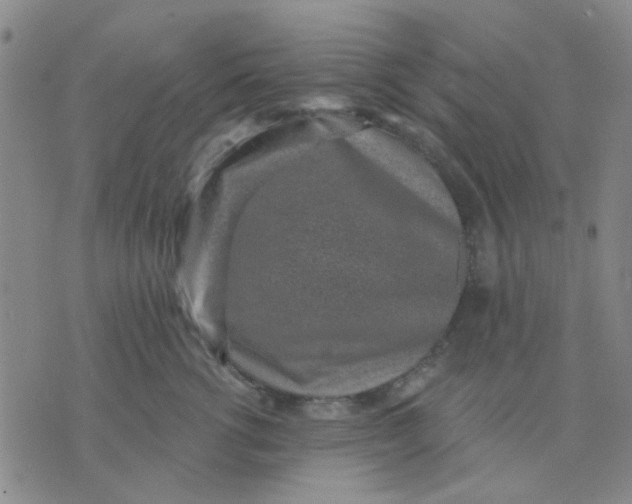 X0000075850762200610061912
