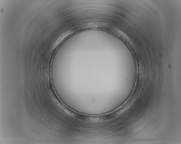 X0000075850794200610061911