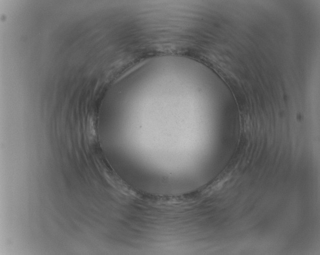 X0000075851106200610061905