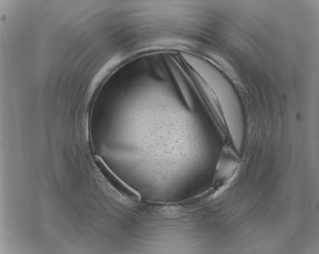 X0000075851180200610061904