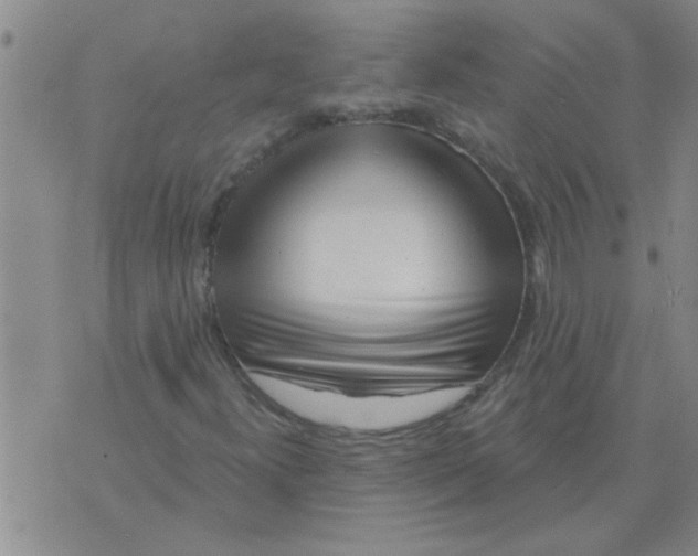 X0000075851300200610061902