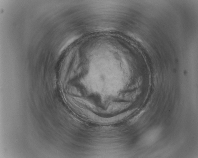 X0000075851306200610061902