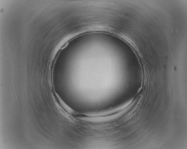 X0000075851342200610061902