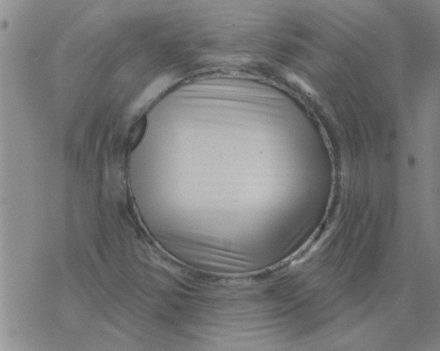 X0000075851354200610061902