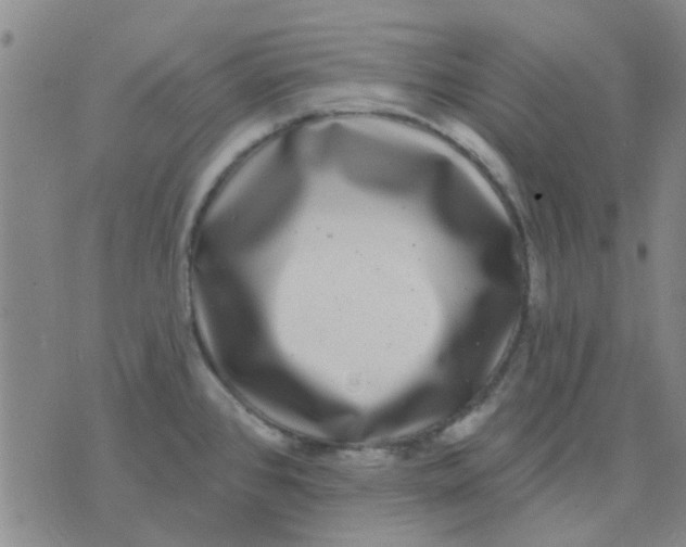 X0000075851384200610061901