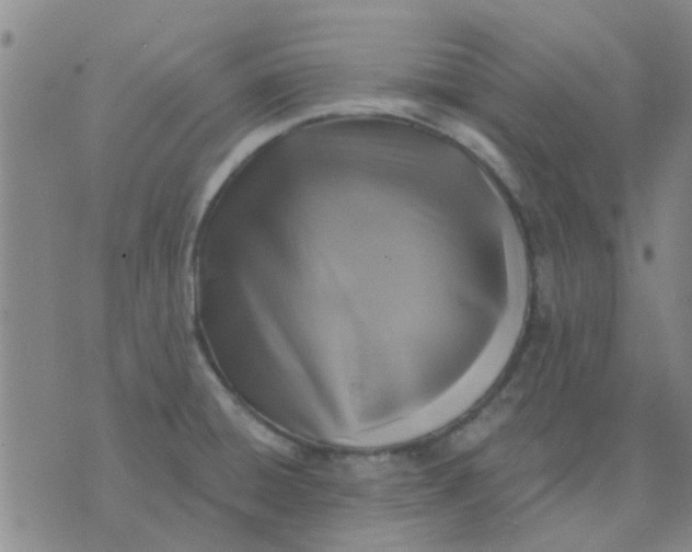 X0000075851428200610061901