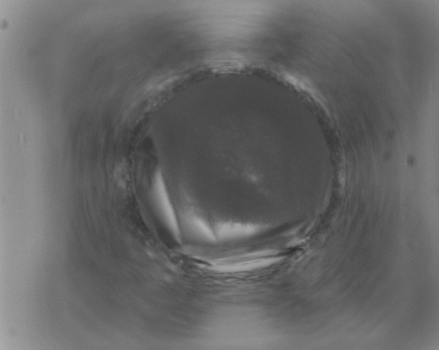 X0000075851445200610061900