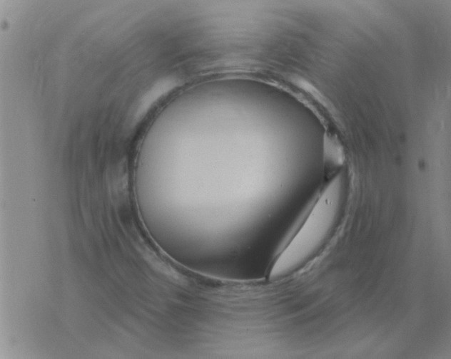 X0000075851450200610061900